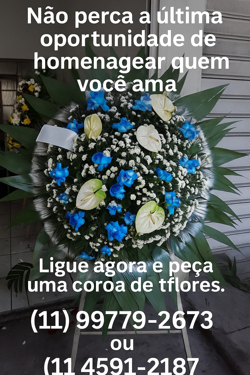 Flyer de divulgação 2